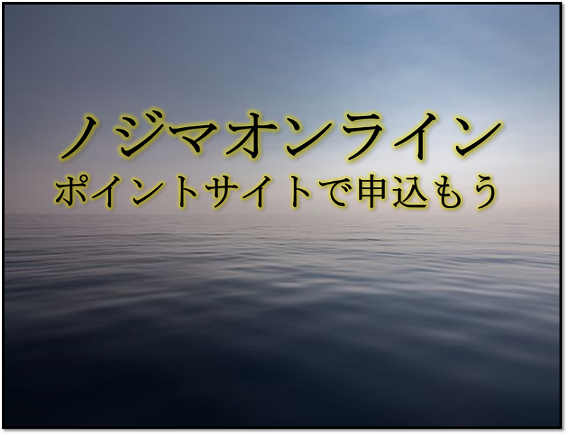 ノジマオンラインを利用するなら このポイントサイトが1番お得 18年12月 ポイントサイトのトリセツ 取扱説明書